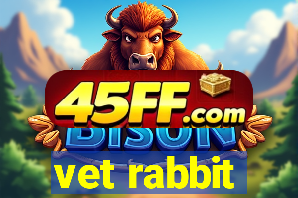 vet rabbit